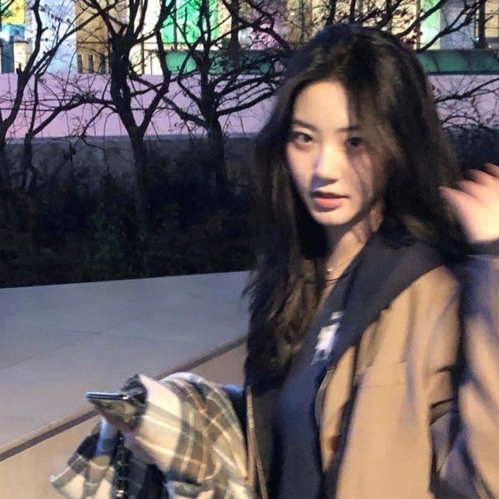 梅朵与月光